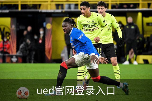 ued官网登录入口公司介绍